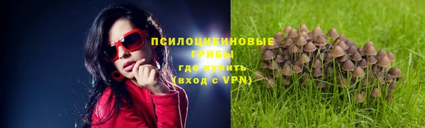 мескалин Новозыбков