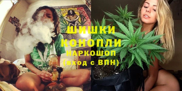 мескалин Новодвинск