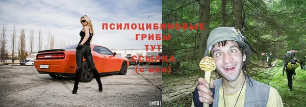 мескалин Новодвинск