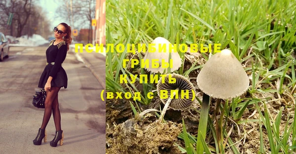 мескалин Новодвинск