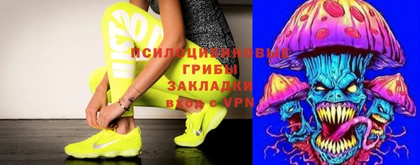 мескалин Новодвинск
