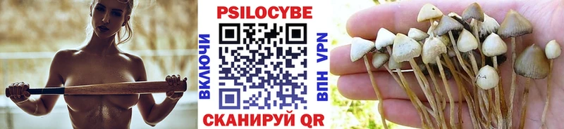 Галлюциногенные грибы мицелий  где продают наркотики  Бирюч 